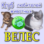 Клуб любителей животных «Велес» приглашает